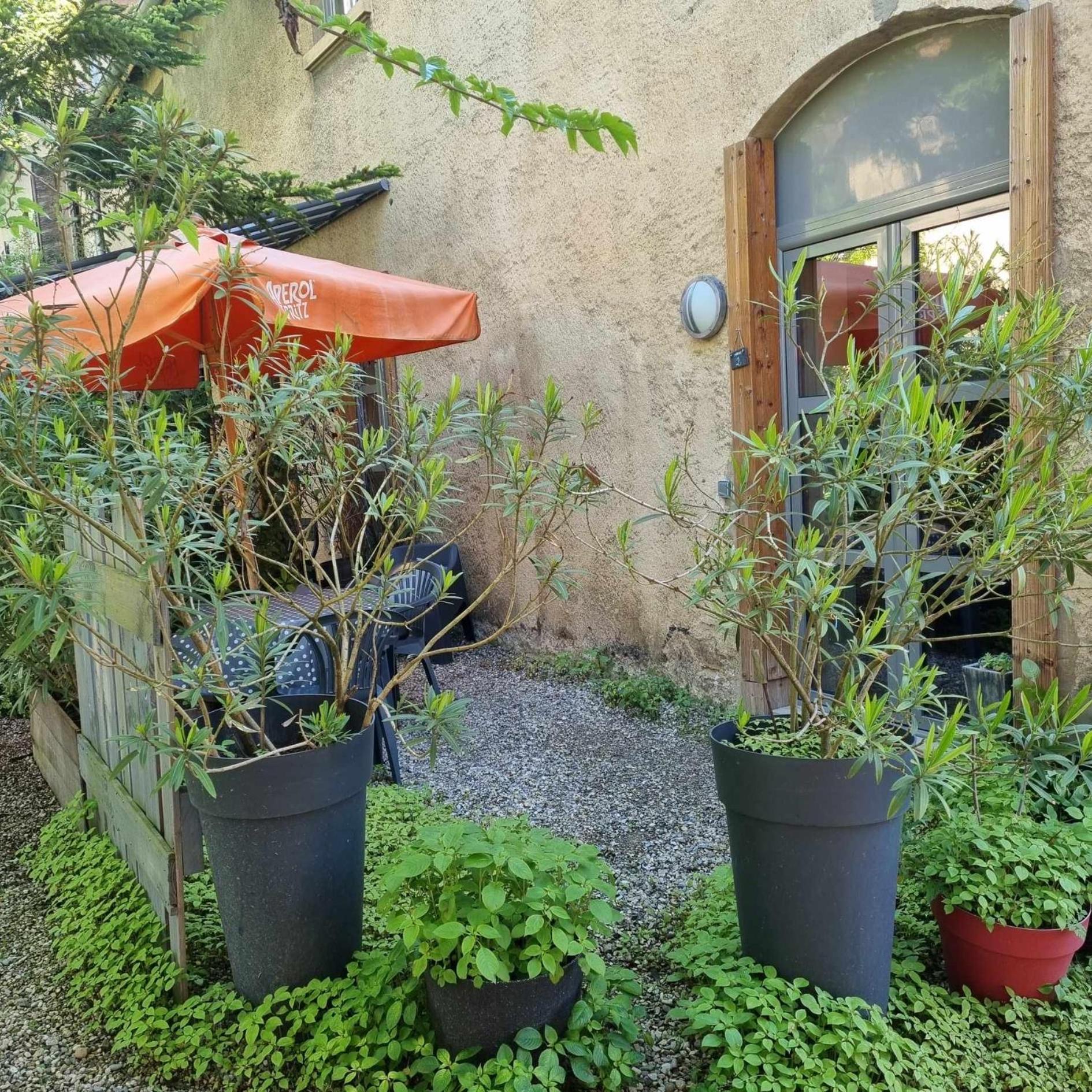 Casa de hóspedes Matin De Saône